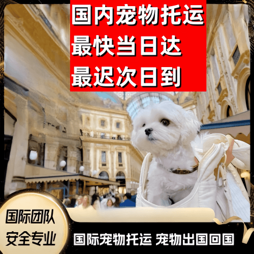 池州市到澳大利亚（澳洲）宠物入境规定和要求
